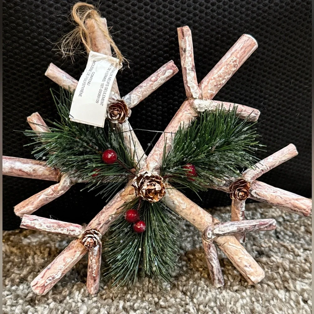 Pier 1 Rustic Twig Star & Snowflake Ornaments Michaels Fruit Pick Set of 5